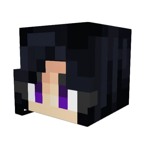 Teruy69 Minecraft avatar head, 3D render