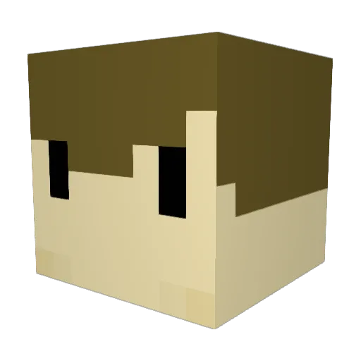 Tervo Minecraft avatar head, 3D render