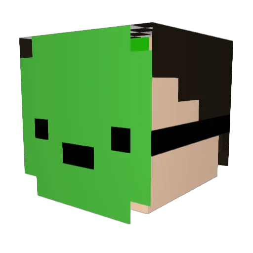 Teryititi Minecraft avatar head, 3D render