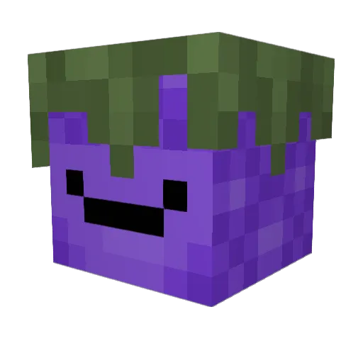 Terz Minecraft avatar head, 3D render