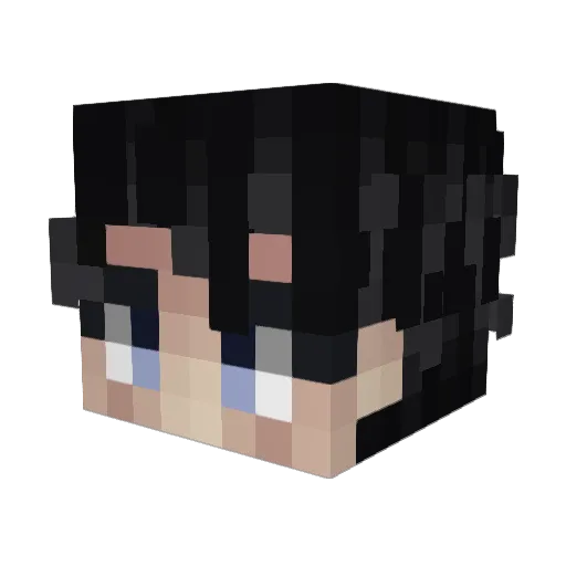 Terze_ Minecraft avatar head, 3D render