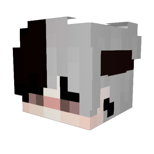 TesTa2401 Minecraft avatar head, 3D render
