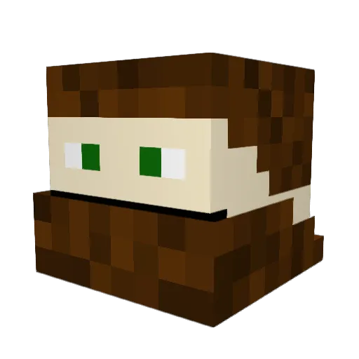 Tes_K8 Minecraft avatar head, 3D render