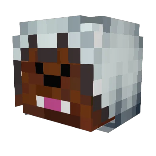 TesaPlays Minecraft avatar head, 3D render