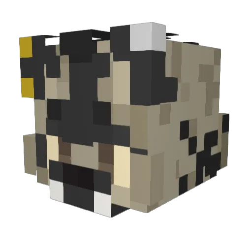 Tescosti Minecraft avatar head, 3D render