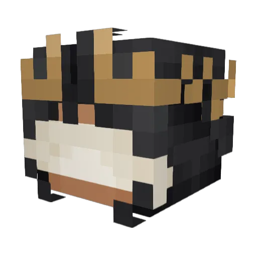 Tesfu Minecraft avatar head, 3D render