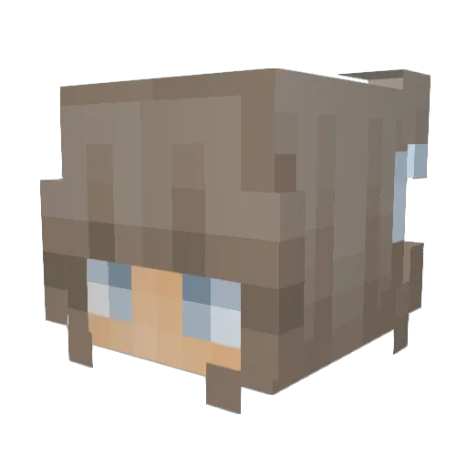 Tesjebesje Minecraft avatar head, 3D render