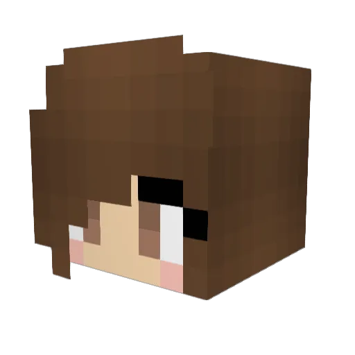 TeskeJr Minecraft avatar head, 3D render