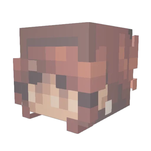 Tesla207 Minecraft avatar head, 3D render