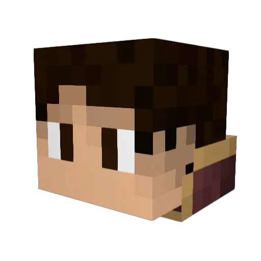 Tesla89 Minecraft avatar head, 3D render