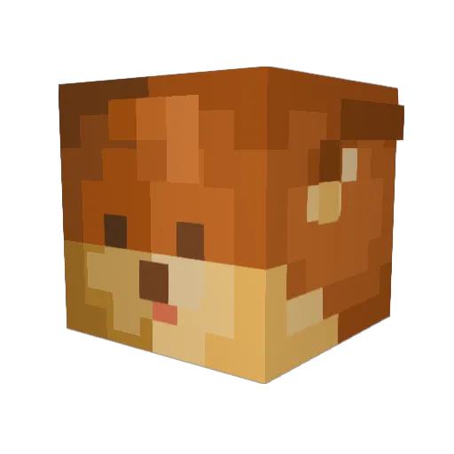 TeslaUncoil Minecraft avatar head, 3D render