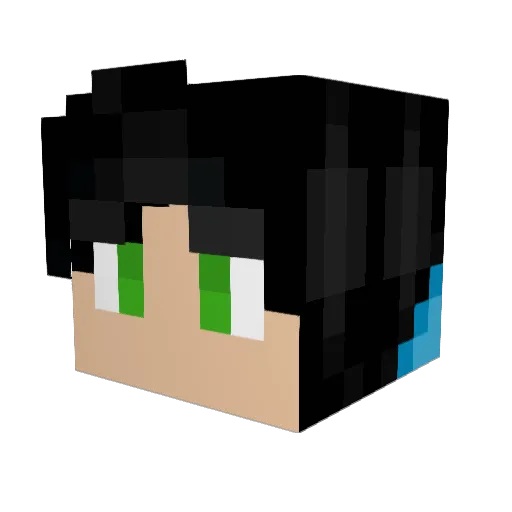 Teslamodels5 Minecraft avatar head, 3D render