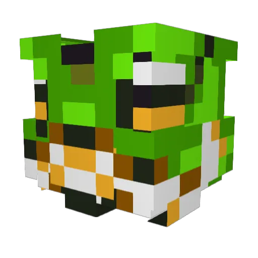 Tesnow13 Minecraft avatar head, 3D render
