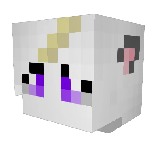 Tesol_PvP Minecraft avatar head, 3D render