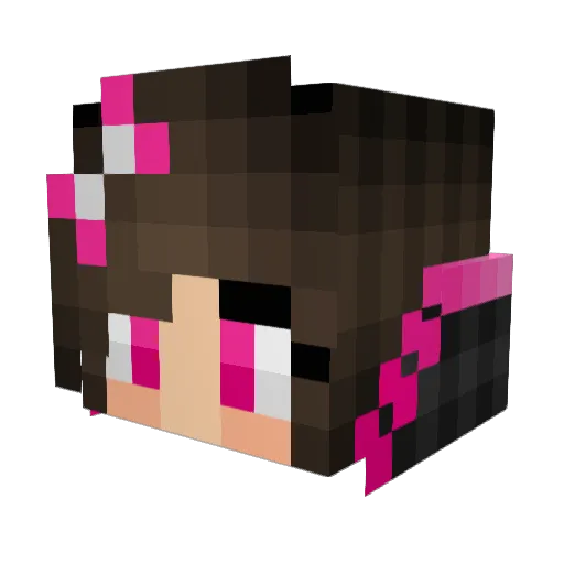 Tess1506 Minecraft avatar head, 3D render