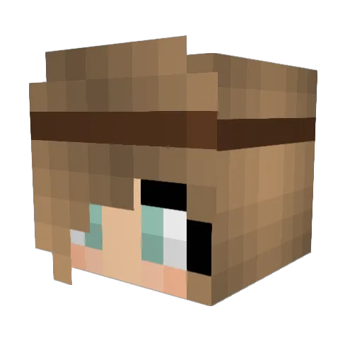 Tess766 Minecraft avatar head, 3D render