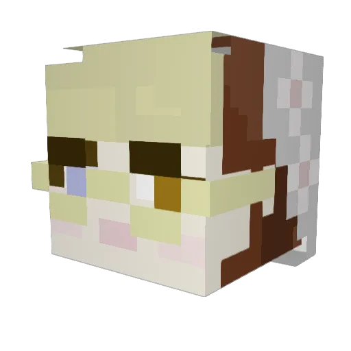 TessDraws Minecraft avatar head, 3D render