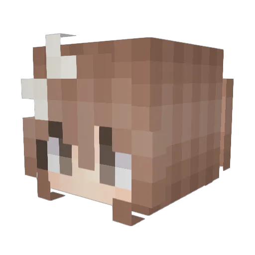 Tessa2011 Minecraft avatar head, 3D render