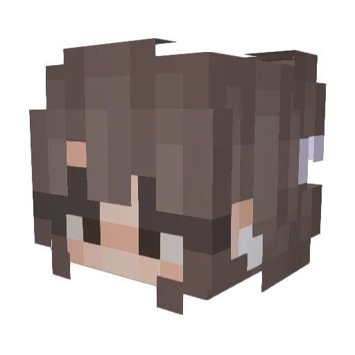 TessaCuteGrl Minecraft avatar head, 3D render