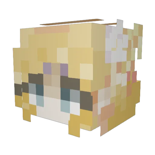 TessaLG Minecraft avatar head, 3D render