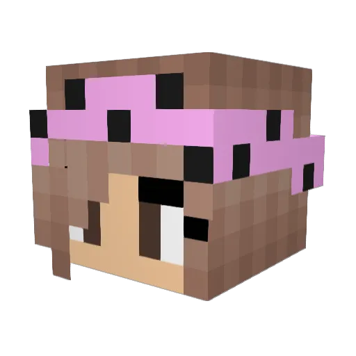 Tessadog19 Minecraft avatar head, 3D render