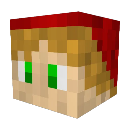 Tessan19 Minecraft avatar head, 3D render