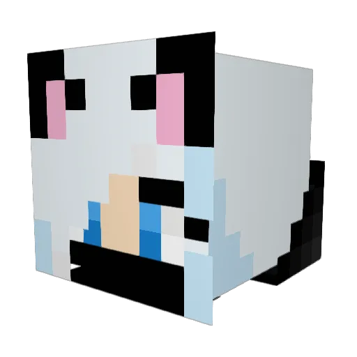 Tessaria Minecraft avatar head, 3D render