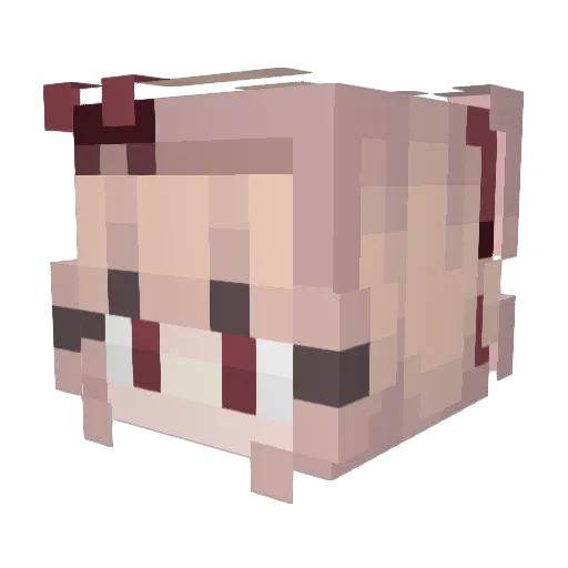 Tessasaury Minecraft avatar head, 3D render