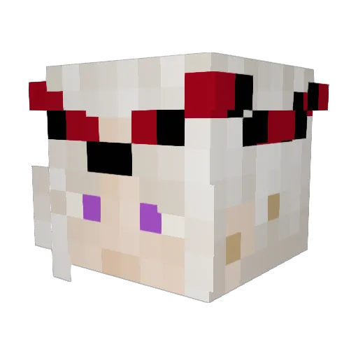 Tessla000 Minecraft avatar head, 3D render