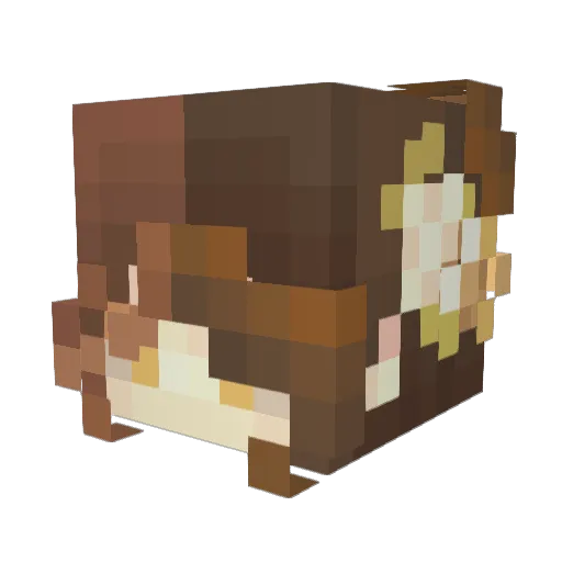 Tesstastic Minecraft avatar head, 3D render