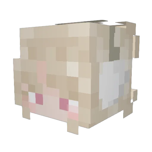 Tessthemess07 Minecraft avatar head, 3D render
