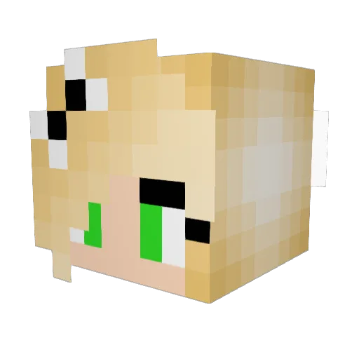 TessyAsters Minecraft avatar head, 3D render