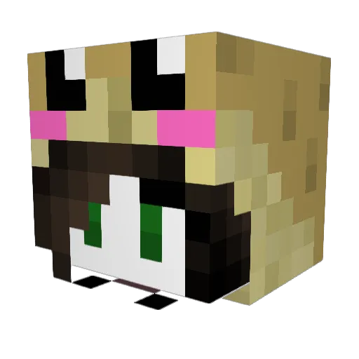 TessyLP Minecraft avatar head, 3D render