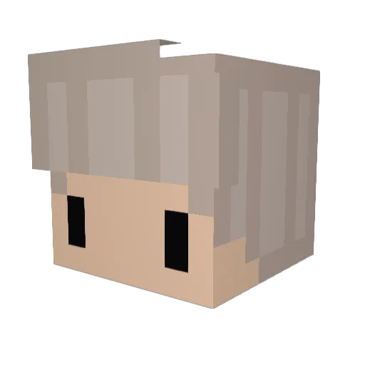 TestMember Minecraft avatar head, 3D render
