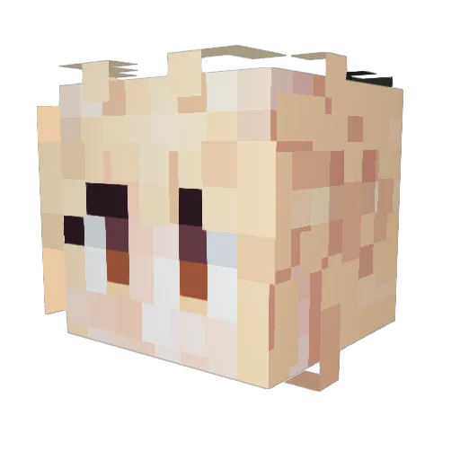 Test_Dark Minecraft avatar head, 3D render