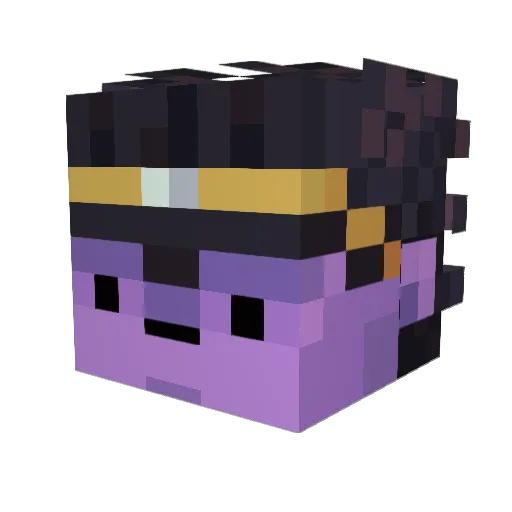 Test_Tickles6969 Minecraft avatar head, 3D render