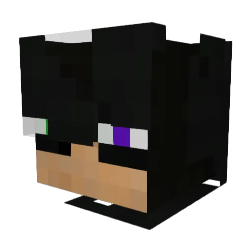 TestedG0lem51 Minecraft avatar head, 3D render