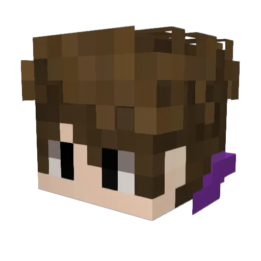 TestedSokr Minecraft avatar head, 3D render
