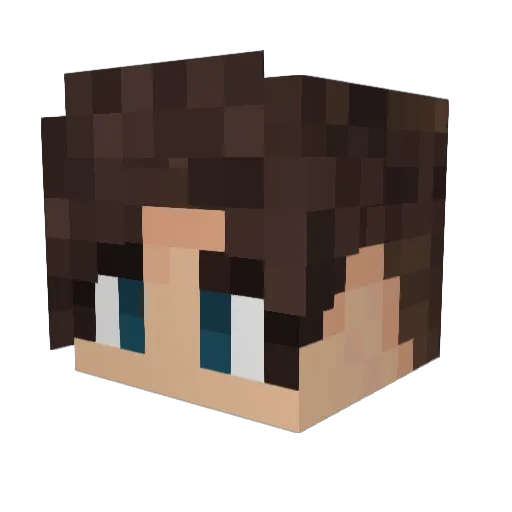 Testlcl3 Minecraft avatar head, 3D render