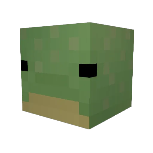 Testudine Minecraft avatar head, 3D render
