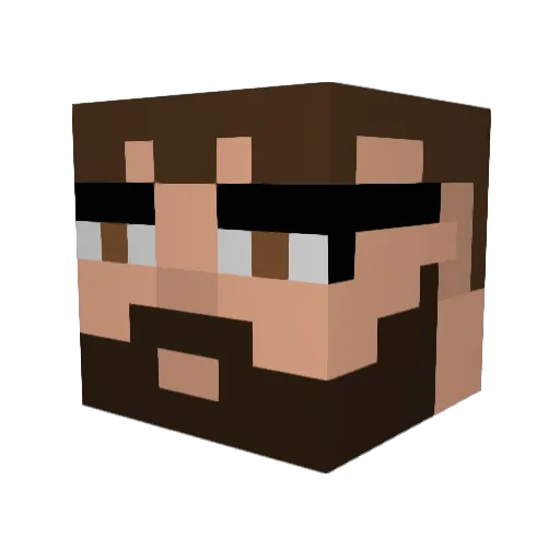 Testudo_the_Wise Minecraft avatar head, 3D render