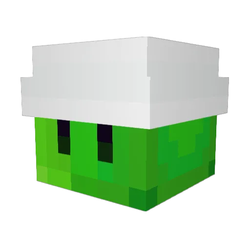 Testudox Minecraft avatar head, 3D render