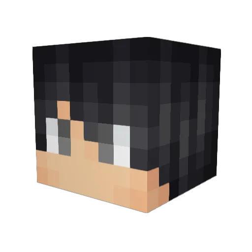 TetRic15 Minecraft avatar head, 3D render