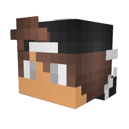 TetanicCorgi3 Minecraft avatar head, 3D render