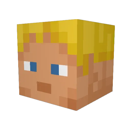TetchyTetchy Minecraft avatar head, 3D render