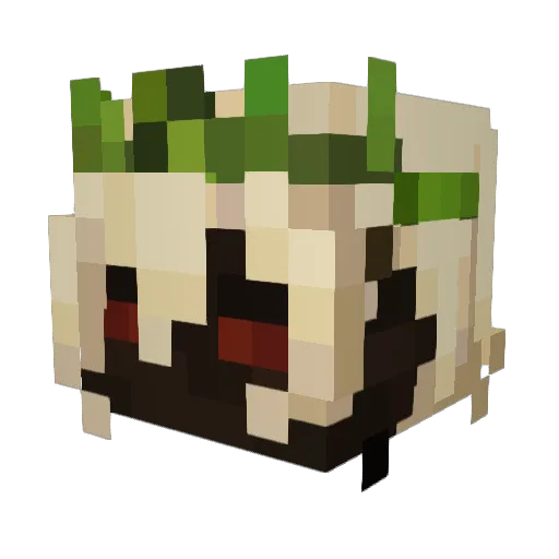 Tete2015 Minecraft avatar head, 3D render