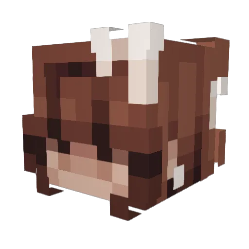 TeteBubblez Minecraft avatar head, 3D render