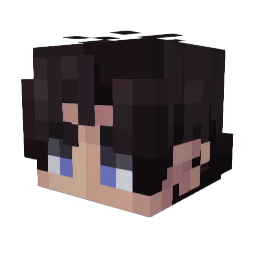 Tetes3101 Minecraft avatar head, 3D render