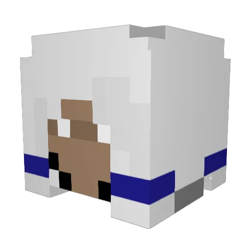 TetoRapod0 Minecraft avatar head, 3D render