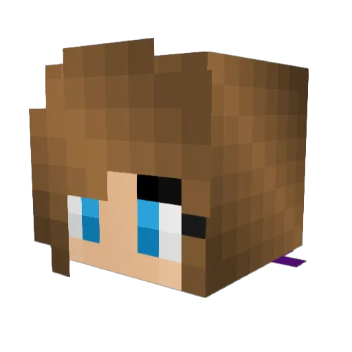 Tetra2014 Minecraft avatar head, 3D render